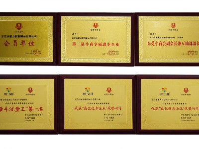 聚力榮譽(yù)證書(2)