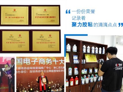聚力榮譽(yù)證書（3）